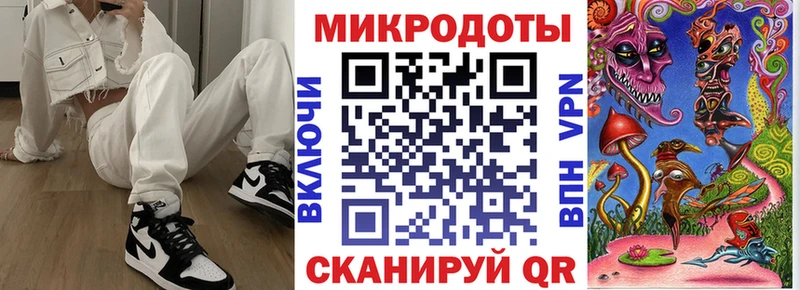 ОМГ ОМГ как войти Пойковский Галлюциногенные грибы Psilocybe